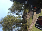 DSCF1008