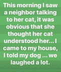 cat talk